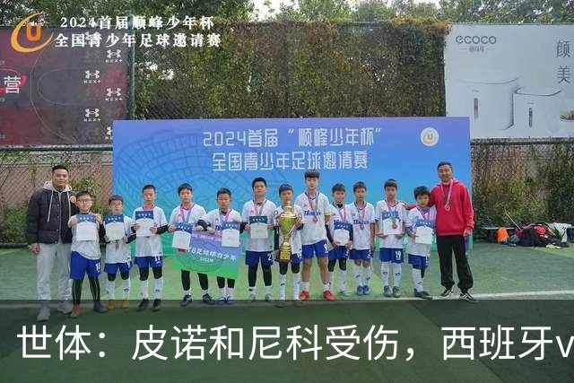 世体：皮诺和尼科受伤，西班牙vs奥地利时加维有望获得出场机会